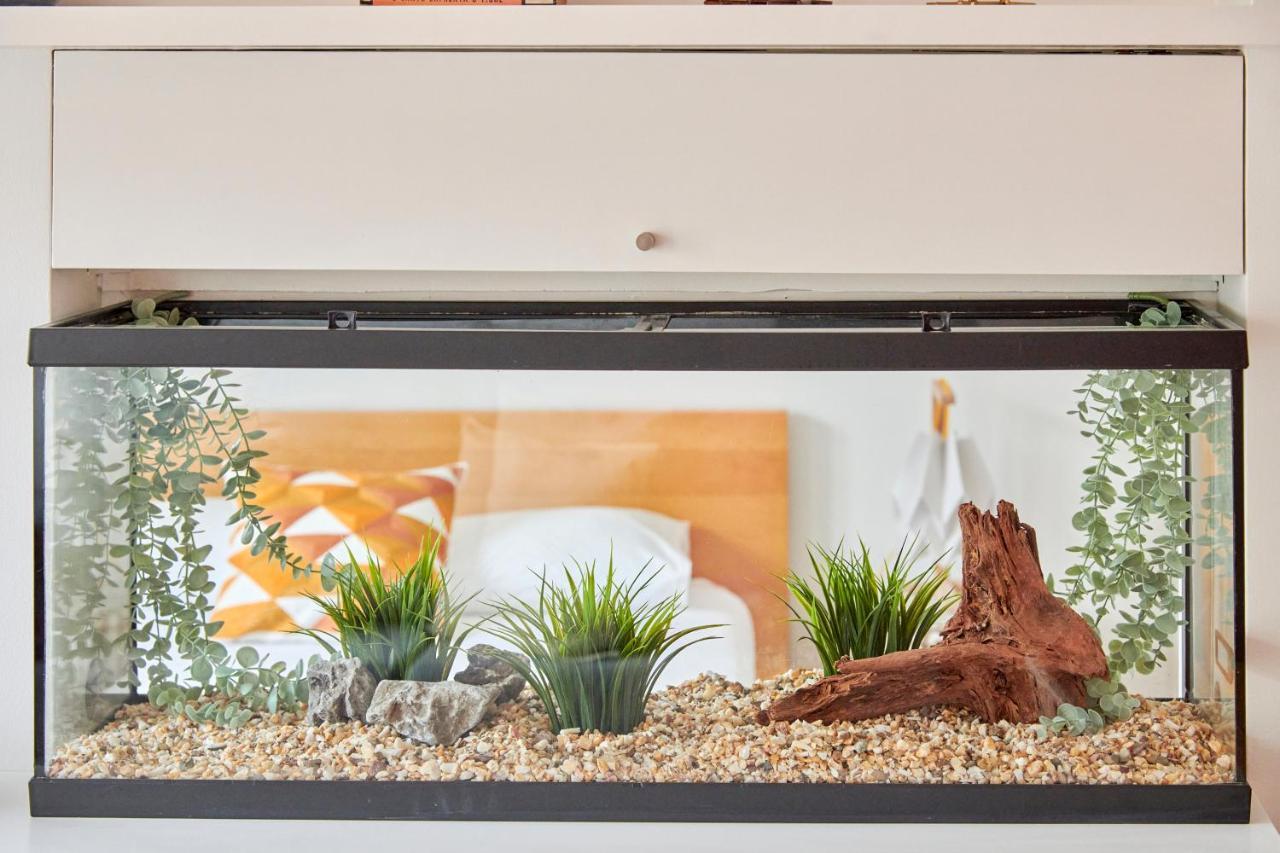 Sunny Renovated Apt With Ac, By Timecooler リスボン エクステリア 写真