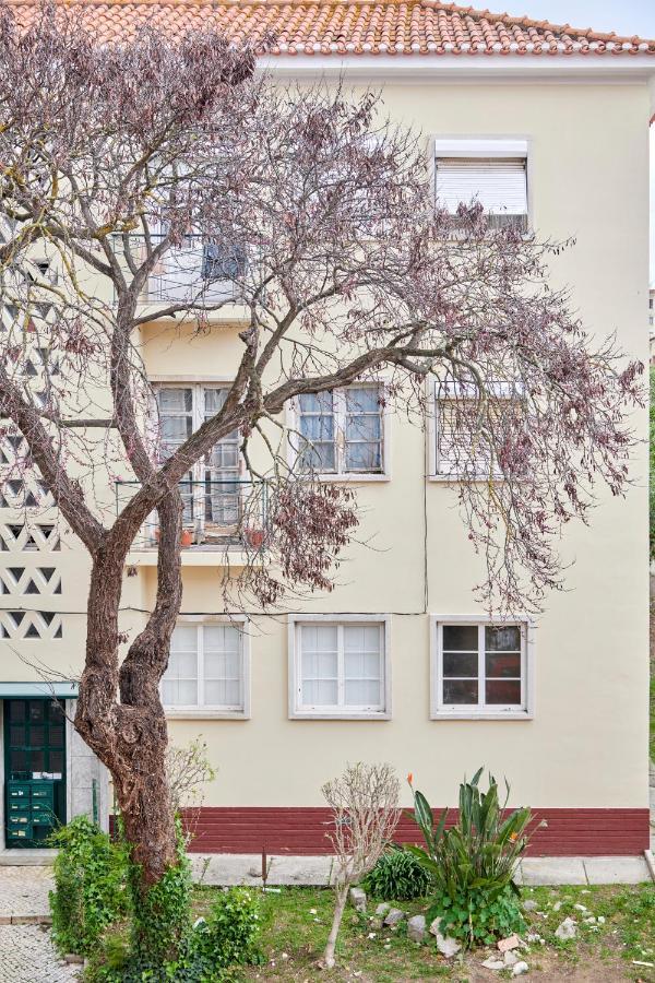 Sunny Renovated Apt With Ac, By Timecooler リスボン エクステリア 写真
